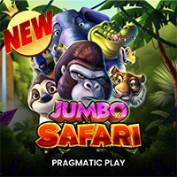 jumbo safari